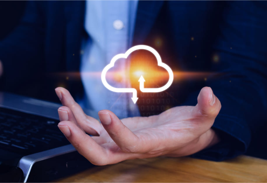 Cloud Cohabitation, Your Terms